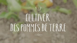 Cultiver des pommes de terre [upl. by Iralav]