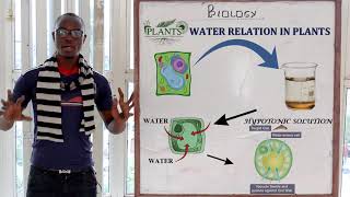 8 Osmosis Biology Form 1 [upl. by Hillie]