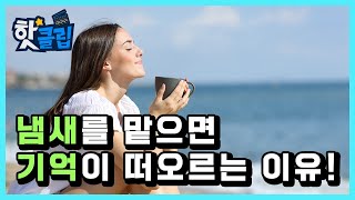 알아두면 유용한 가장 귀여운 고문 기계 만들기 마인크래프트 [upl. by Ahsii]