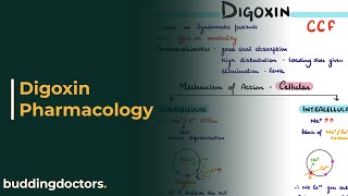 Digoxin  Digoxin mechanism of action  Digoxin toxicity [upl. by Ariada750]