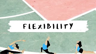 Flexibility Exercises  Examples [upl. by Akinat]