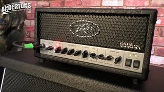 Peavey 6505 Mini Head  Devastating Tone said the Baboon [upl. by Akeber]