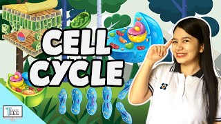 Cell Cycle  Biology [upl. by Lay]