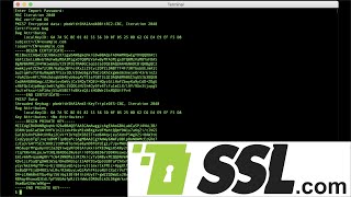 How to Export Certificates and Private Key from a PKCS12 File with OpenSSL [upl. by Byler]