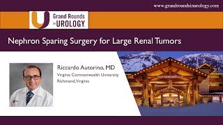 Percutaneous Nephrolithotomy Kidney Stone Removal  Michael A Jenkins MD [upl. by Ilwain]