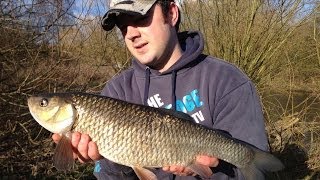 Ledgering For Chub On Norfolks River Wensum [upl. by Eiveneg]