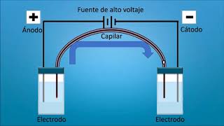 Electroforesis Capilar Conceptos Básicos [upl. by Barrow]