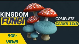 Fungi  Kingdom fungi class 11  Biological classification  Ncert  Be Educated [upl. by Bainbrudge364]