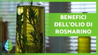 OLIO di ROSMARINO 🪔🍃 Proprietà BENEFICI e come farlo [upl. by Snahc]