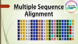 Multiple Sequence Alignment [upl. by Tersina234]