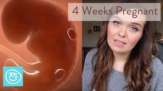 4 Weeks Pregnant What You Need To Know  Channel Mum [upl. by Kendyl]