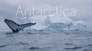 ANTARCTICA  The Frozen Continent  4k DRONE Video [upl. by Nednil]