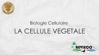 La Cellule Végétale TP°3 [upl. by Ecydnac]