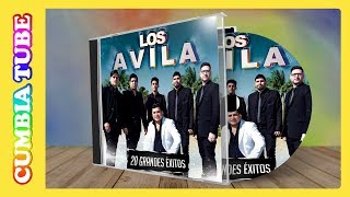 Los Ávila  20 Grandes Éxitos  Disco Completo Cumbia Tube [upl. by Neddy]