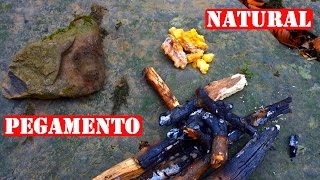 Cómo Hacer Pegamento Sólo Con Materiales Naturales [upl. by Junko573]