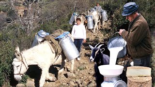 Vida diaria de 3 FAMILIAS DE CABREROS en el monte ordeño pastoreo y cuidado de las CABRAS [upl. by Nnylyoj465]