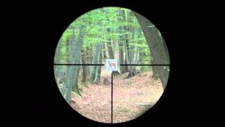 Docter Unipoint 14x24 reticle 40 subtensions [upl. by Yetak]