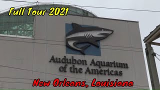 The Audubon Aquarium of the Americas Full Tour  New Orleans Louisiana [upl. by Nette36]