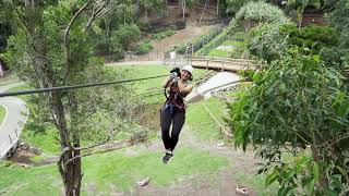 TreeTop Currumbin Wildlife Sanctuary [upl. by Ilek]