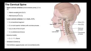 Cervical Lateral Flexion amp Rotation BIOMECHANICS [upl. by Aniratac156]