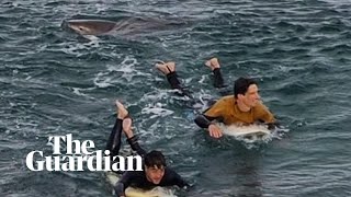 Surfer escapes shark attack at Bells Beach Australia [upl. by Rolyks669]