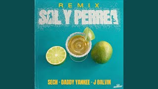 Sal y Perrea Remix [upl. by Elfont625]