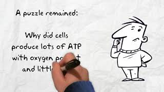 An Introduction to Enzyme Assays [upl. by Suisyola194]