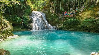 Blue Hole Ocho Rios Jamaica  Travel Video [upl. by Ellerrad380]