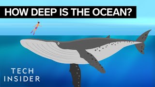 This Incredible Animation Shows How Deep The Ocean Really Is [upl. by Fitzpatrick332]