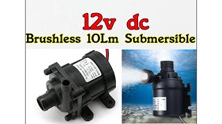 12v Dc Mini Submersible Water Pump [upl. by Kienan]