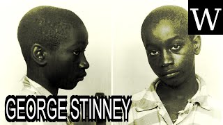 GEORGE STINNEY  WikiVidi Documentary [upl. by Greenwell]