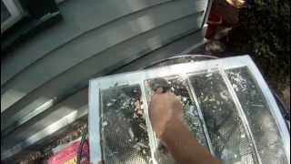 Removing Glazing Compound from Windows [upl. by Adnilrem]