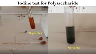 Iodine Test [upl. by Neelra724]