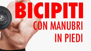 BICIPITI 💪 CON MANUBRI LA TECNICA 👌 CORRETTA  TUTORIAL [upl. by Zarihs]