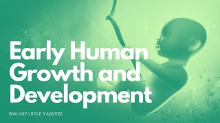 Early Human Growth and Development [upl. by Edurtreg110]