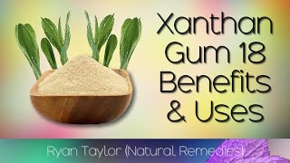 Xanthan Gum Benefits and Uses [upl. by Reffinej]