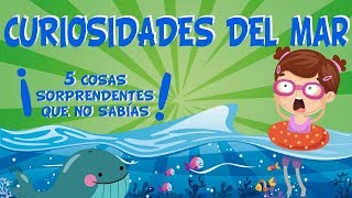 5 COSAS QUE NO SABÍAS DEL MAR  CURIOSIDADES FASCINANTES PARA NIÑOS [upl. by Sorel638]