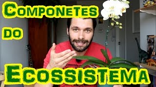 ECOSSISTEMA Componentes BióticosAbióticos e Funcionamento Geral [upl. by Timi]