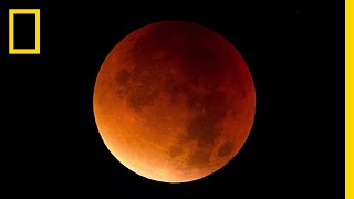 Lunar Eclipse 101  National Geographic [upl. by Soisatsana]