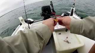 Fishing from Inflatable Dinghy part 1 [upl. by Boyse]