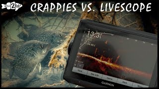 Crappie Fishing With Garmin Panoptix LiveScope [upl. by Hardner975]