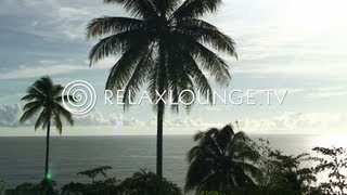 Loungemusik  Gitarren Musik Harmonie Wellness amp Paradies  OCEAN LOUNGE [upl. by Attenaz]