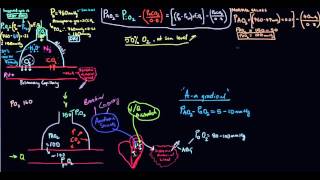 Aa gradient Alveolararterial oxygen gradient [upl. by Flin]