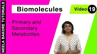 Biomolecules  NEET  Primary and Secondary Metabolites  Neela Bakore Tutorials [upl. by Bissell966]