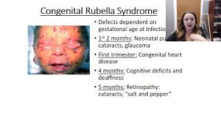 Rubella video [upl. by Ojibbob230]