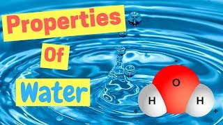 Properties of Water  Polarity  Hydrogen Bonds  Adhesion amp Cohesion [upl. by Nodlew]