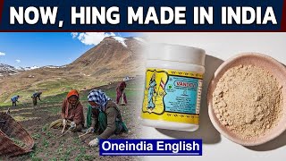 Hing or asafoetida to be grown in India  Indian spices  Oneindia News [upl. by Nnaitak]