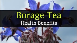 Borage Tea Health Benefits  Stress Buster Detox Hormonal Imbalance [upl. by Naujik]