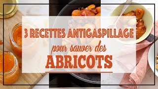 ABRICOTS 3 recettes antigaspillage  confiture compote poêlée [upl. by Essilem945]