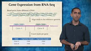 Gene Expression 3 Using RNA sequencing to analyze gene expression [upl. by Waal]